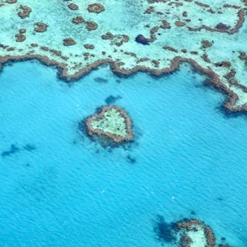 Facts About the Great Barrier Reef - Whitsunday Escape™