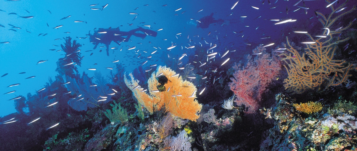 SCUBA Gear Hire Whitsunday Escape™