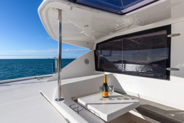 Argo Leopard 48.4 Sailing Catamaran - Front cockit view 2