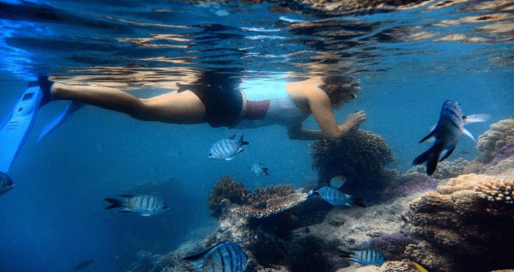 Jess Skarratt QLD Weekender snorkelling fish coral