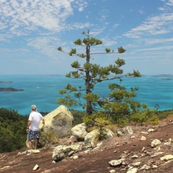 Whitsunday Escape for island views from island bushwalks