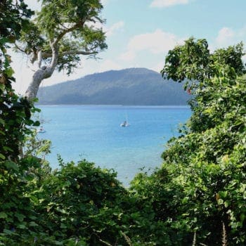 Langford Island bushwalk views of Whitsunday Escape boat