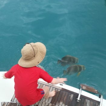 Kids feeding the fish on a Whitsunday Escape bareboat charter holiday