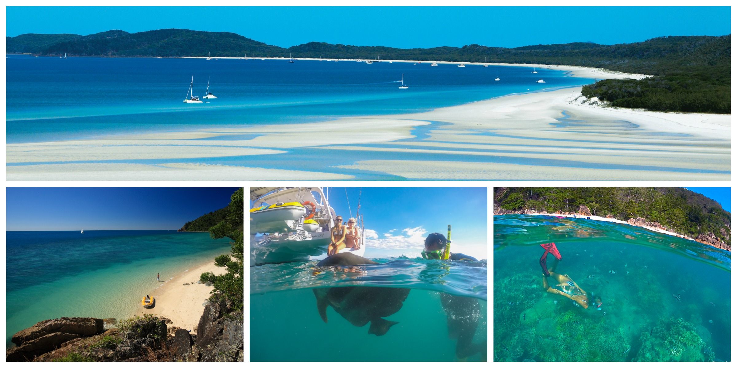 Whitsunday Collage 