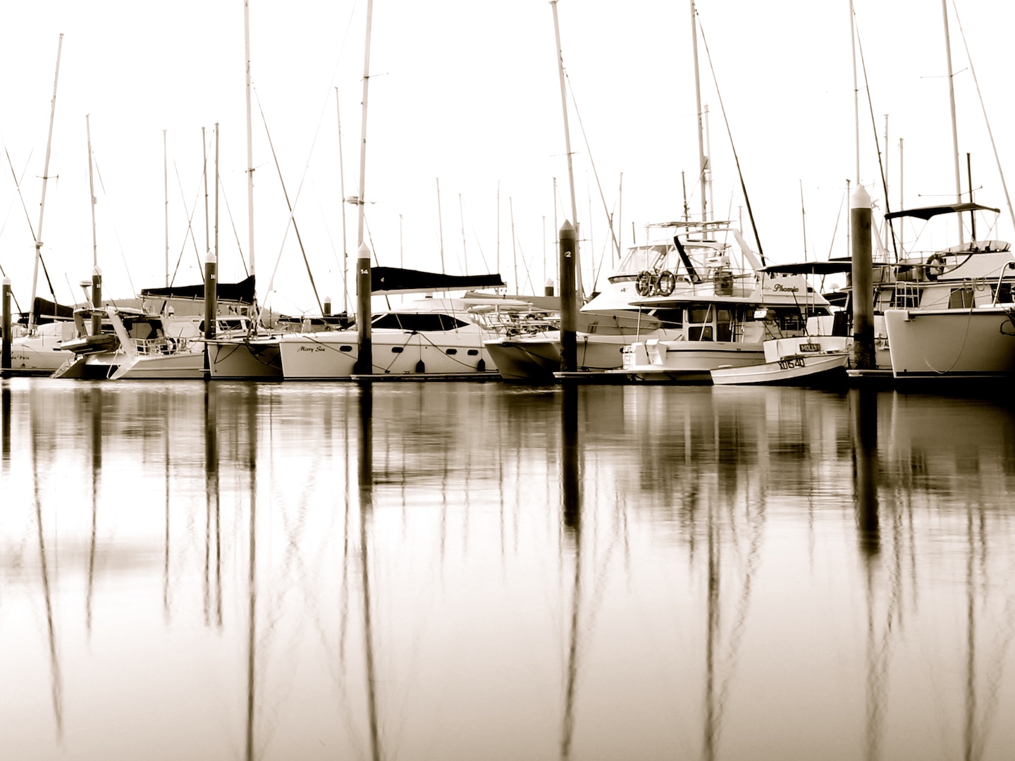 marina black and white boats Whitsunday Escape Airlie Beach
