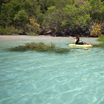 Whit Bay Kayaking Whitsunday Escape™