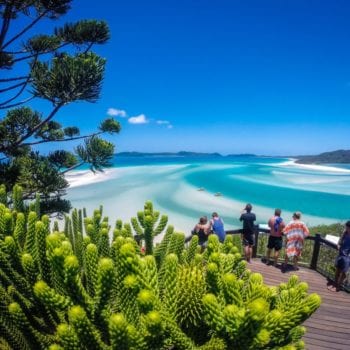 Hoop Pine Lookout Overlooking Beautiful Whitsundays Sailing Holiday Activities