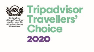 Tripadvisor Travellers Choice small