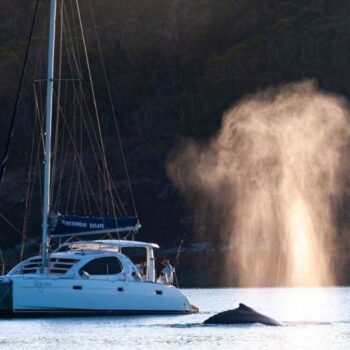 A whale spout next to a Whitsunday Escape catamaran